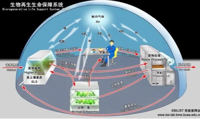 QQ截圖20210915090856 - 副本.jpg